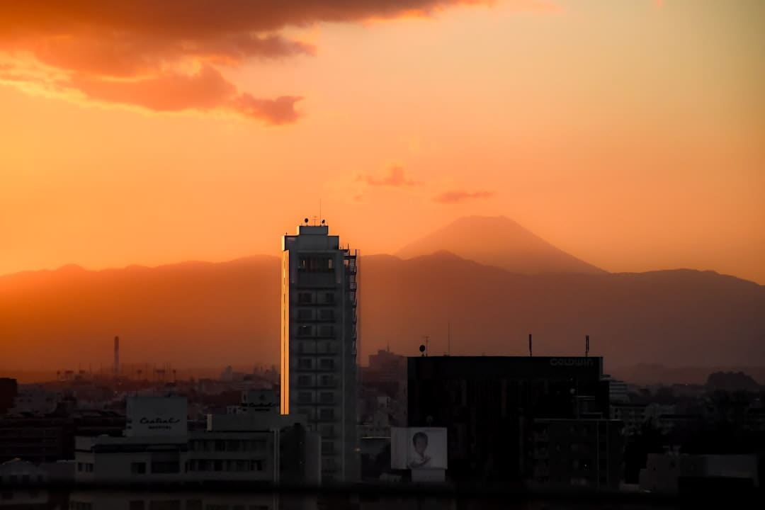 电影《千金不换》定档2026年五一 顽强母子废柴教练共赴生长新旅程
